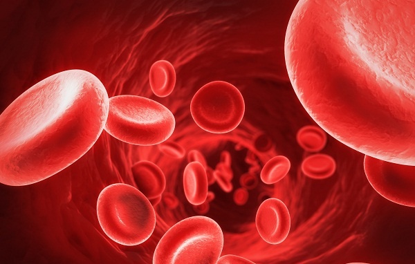 Ghế massage hỗ trợ tuần hoàn máu